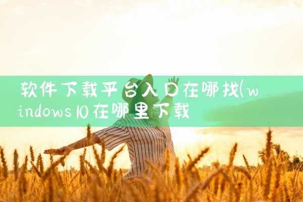 软件下载平台入口在哪找