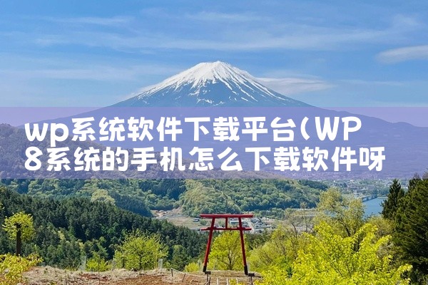 wp系统软件下载平台
